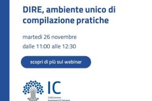 Webinar per le imprese su DIRE, ambiente unico di compilazione pratiche - 26 NOVEMBRE 2024