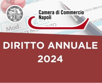 Immagine diritto annuale 2024